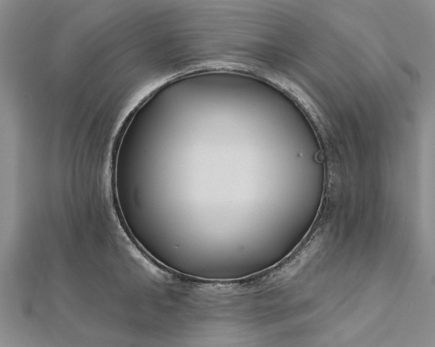 X0000112460902200908311327