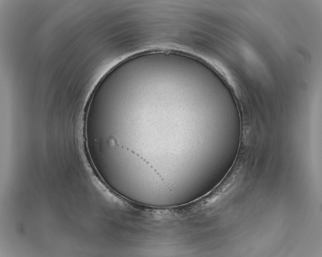 X0000112460903200908311327