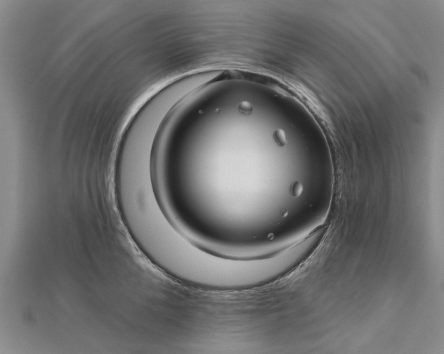 X0000112460904200908311327