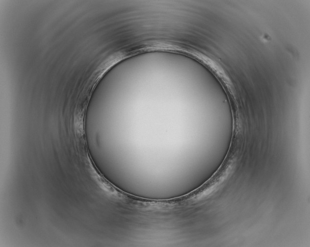 X0000112460905200908311327