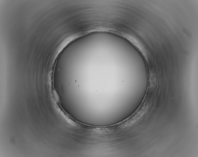 X0000112460906200908311327