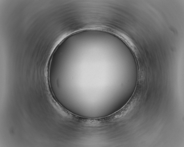 X0000112460907200908311327