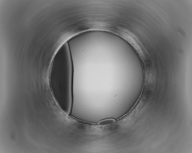 X0000112460908200908311327