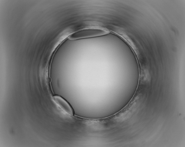 X0000112460909200908311327