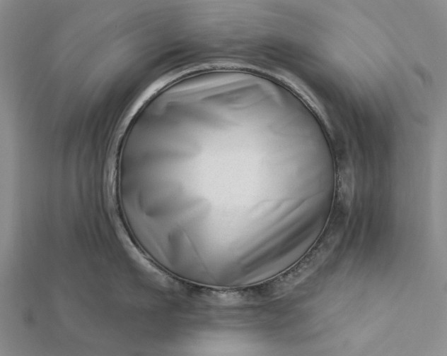 X0000112460911200908311327