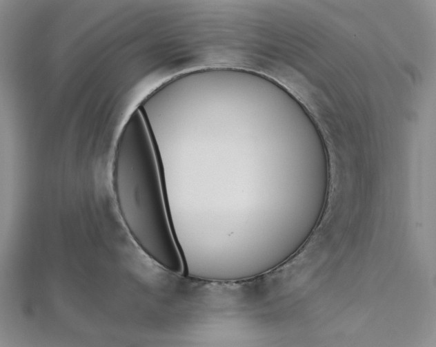 X0000112460912200908311327