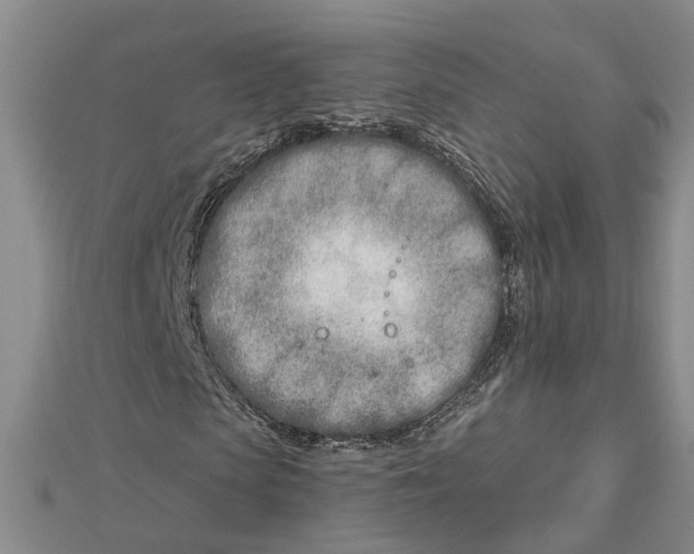 X0000112460913200908311326