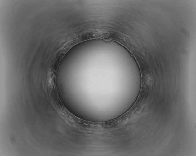 X0000112460914200908311326