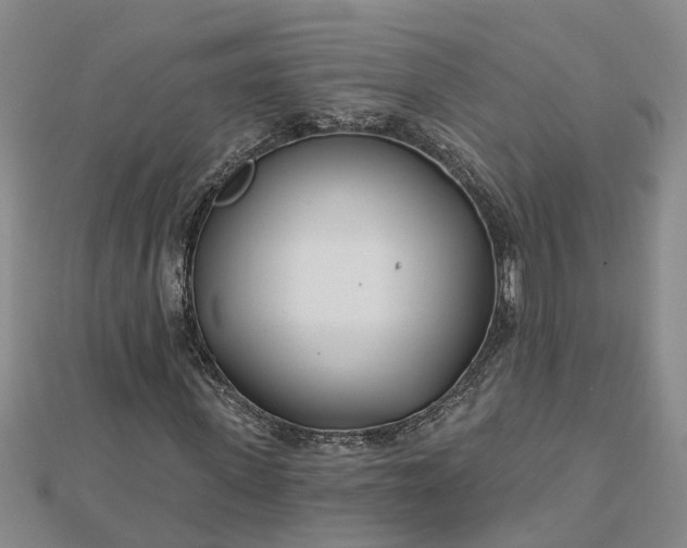 X0000112460915200908311326