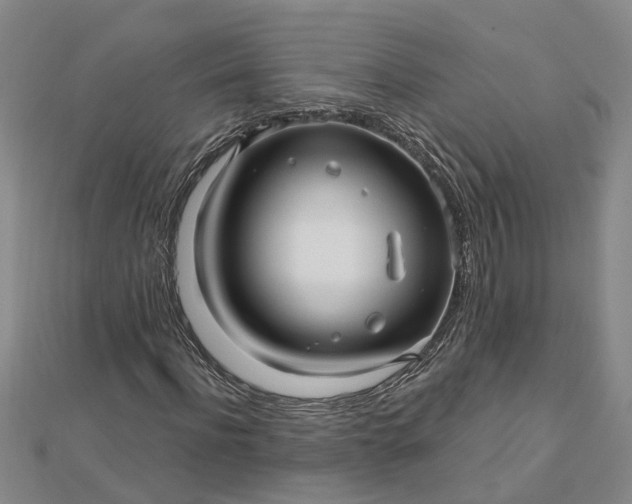 X0000112460916200908311326