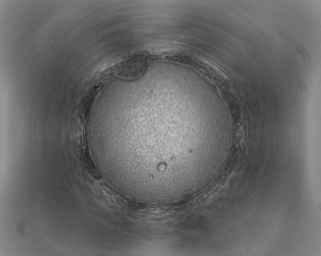 X0000112460917200908311326