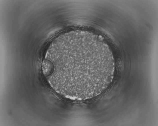 X0000112460918200908311326