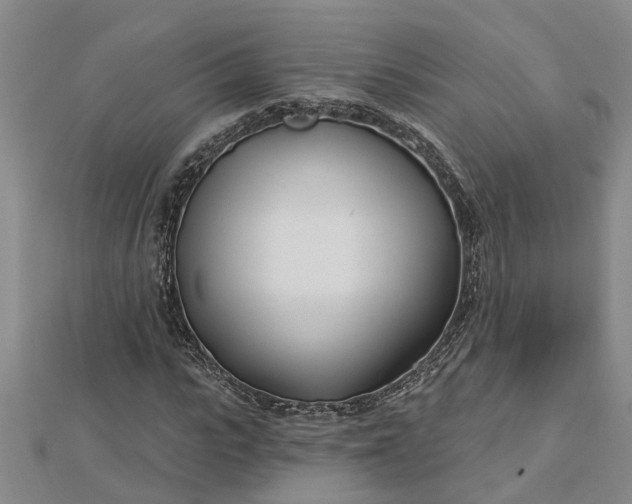 X0000112460919200908311326