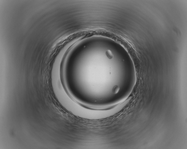 X0000112460920200908311326