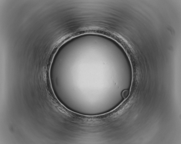 X0000112460921200908311326