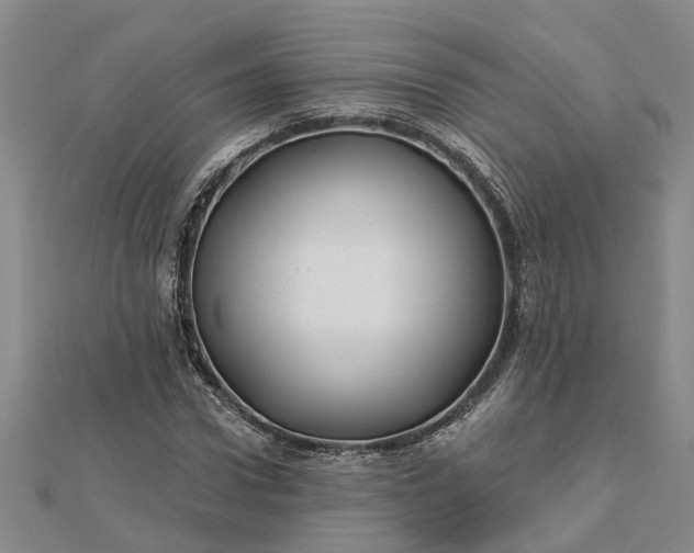 X0000112460922200908311326