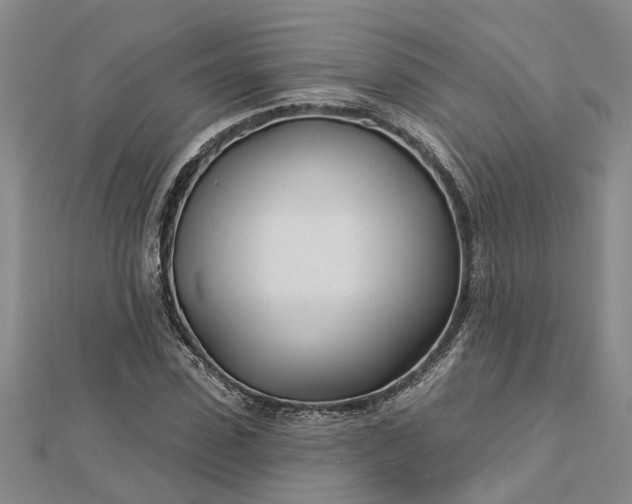 X0000112460923200908311326