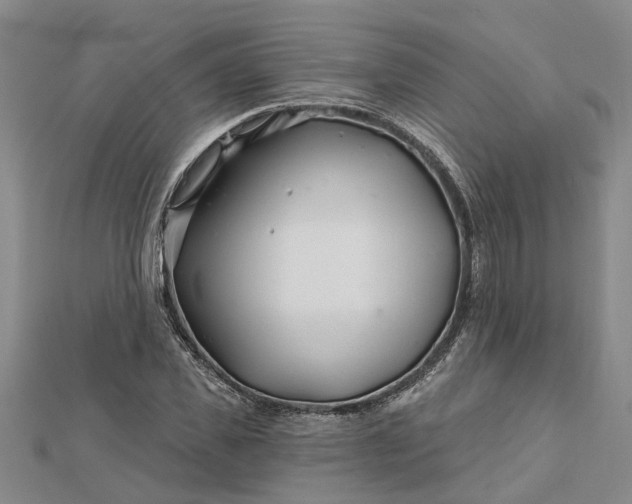 X0000112460925200908311326