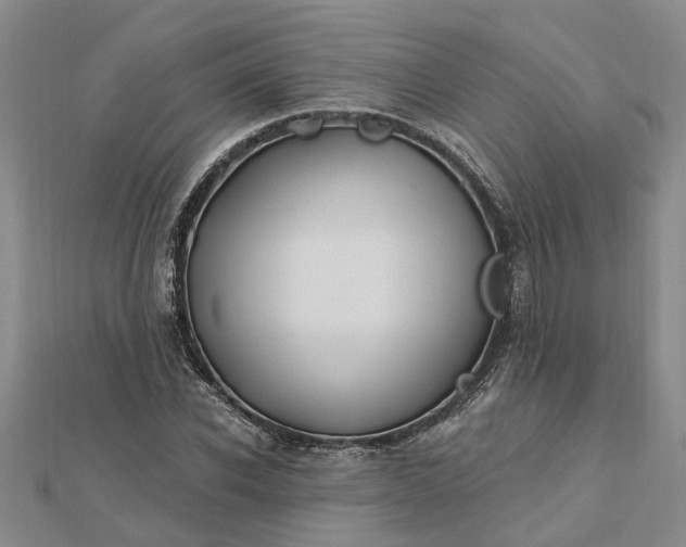 X0000112460926200908311326