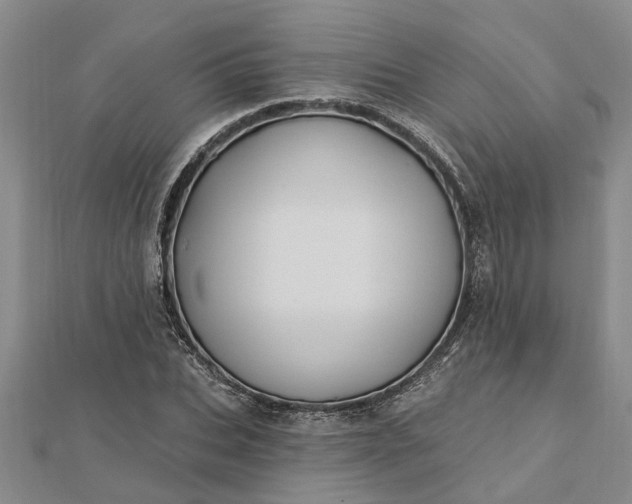 X0000112460927200908311326