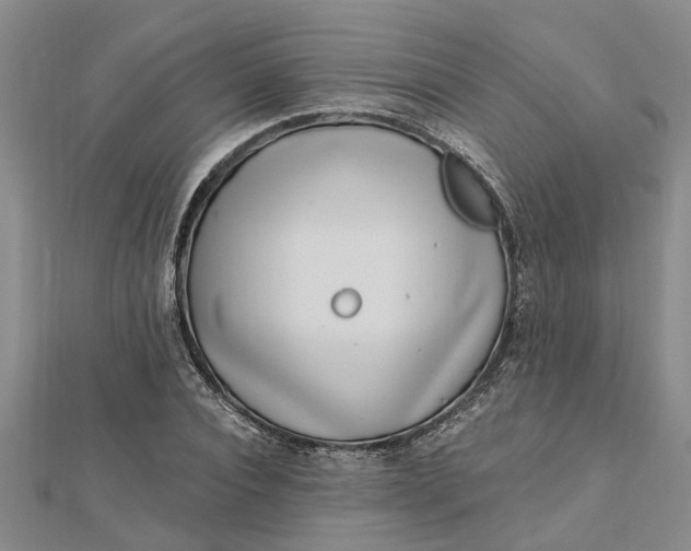 X0000112460928200908311326