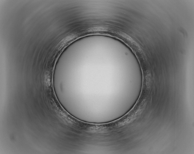 X0000112460929200908311326