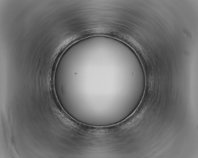 X0000112460930200908311326