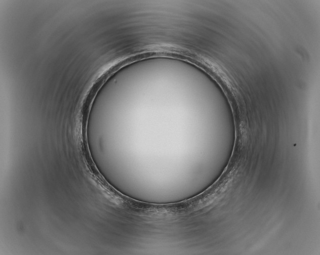 X0000112460931200908311326