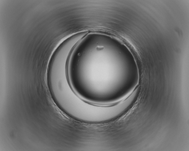 X0000112460932200908311326