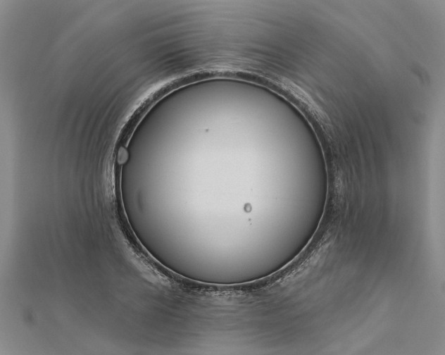 X0000112460934200908311326