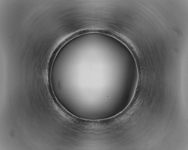 X0000112460935200908311326