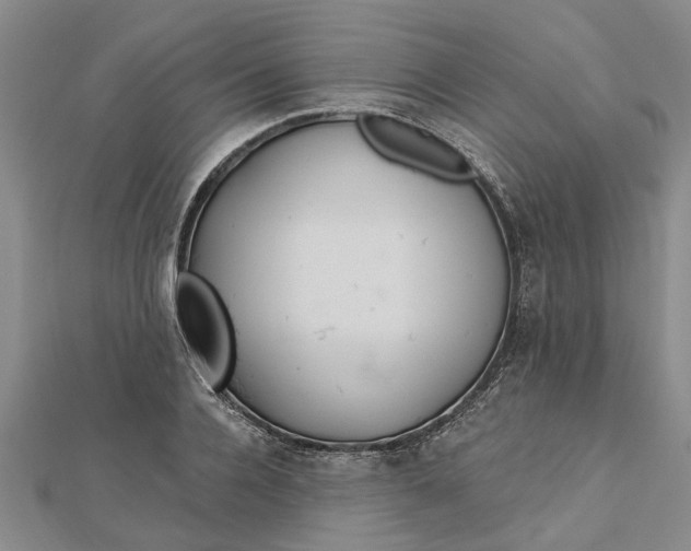 X0000112460936200908311326