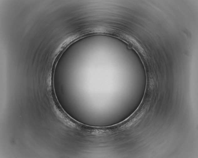 X0000112460938200908311326