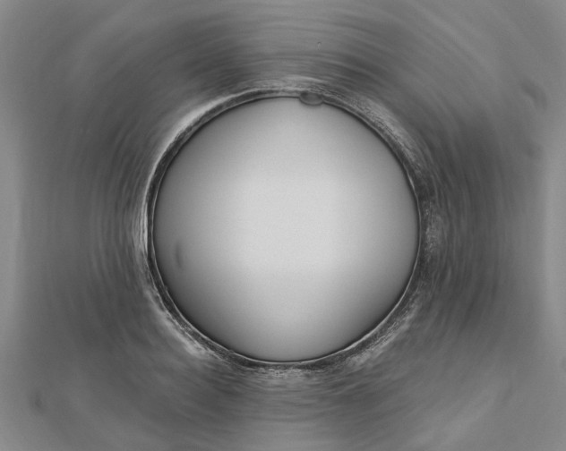 X0000112460940200908311326