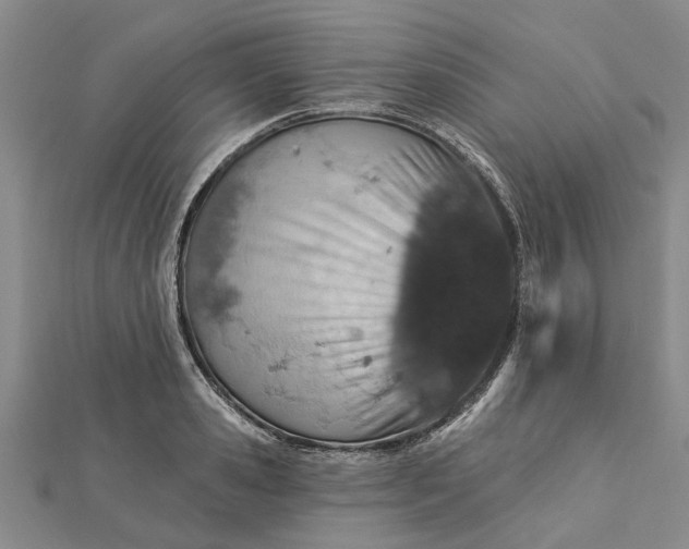 X0000112460941200908311326