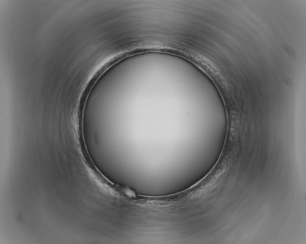 X0000112460942200908311326