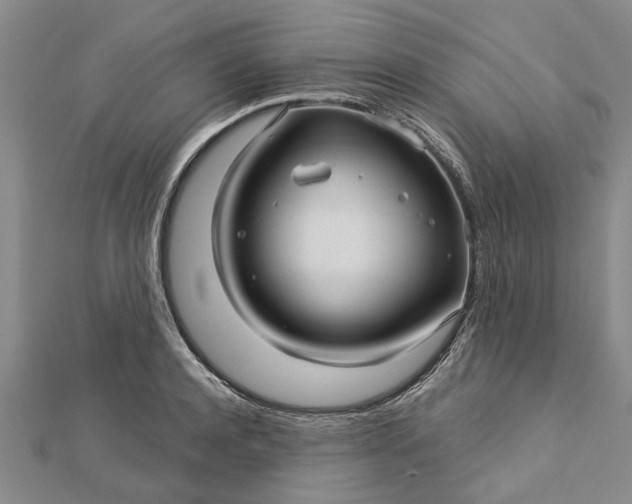 X0000112460944200908311326