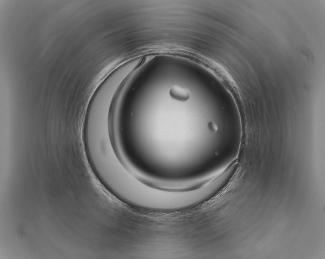 X0000112460946200908311326