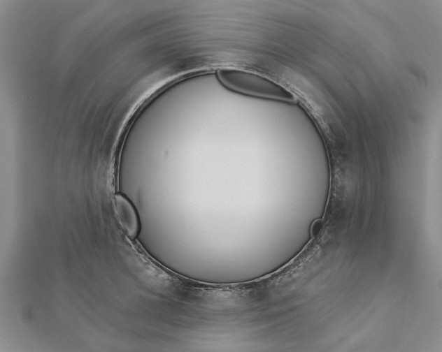 X0000112460948200908311326