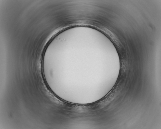 X0000112460950200908311326