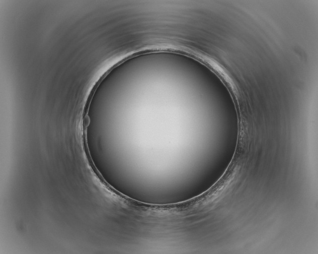 X0000112460951200908311326