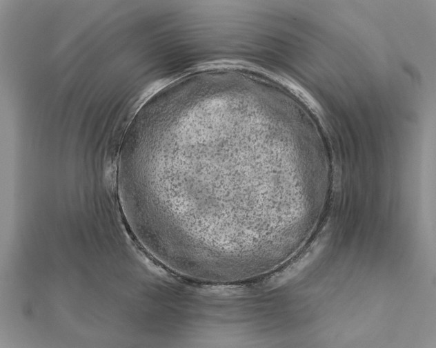 X0000112460953200908311327