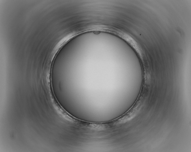 X0000112460954200908311327