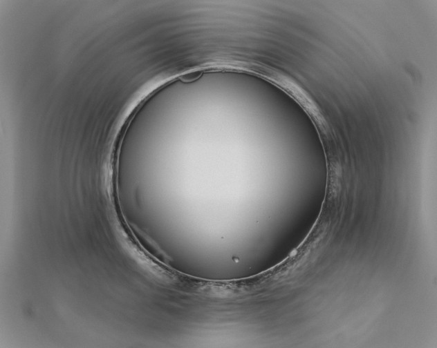 X0000112460955200908311327