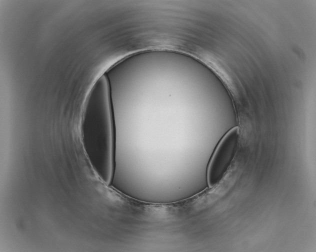 X0000112460956200908311327