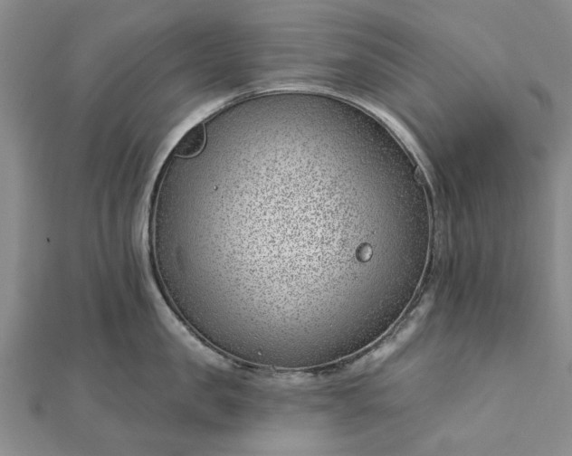 X0000112460957200908311327