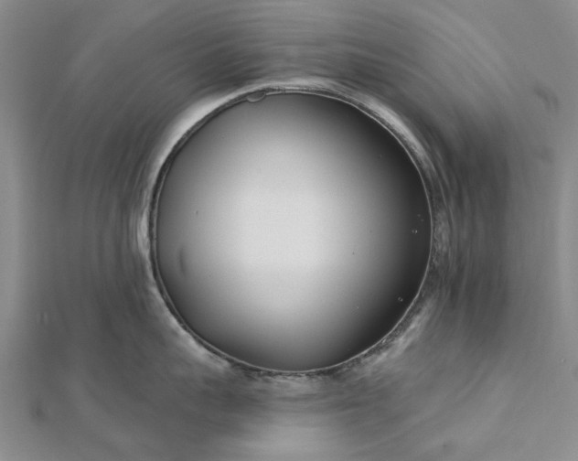 X0000112460959200908311327