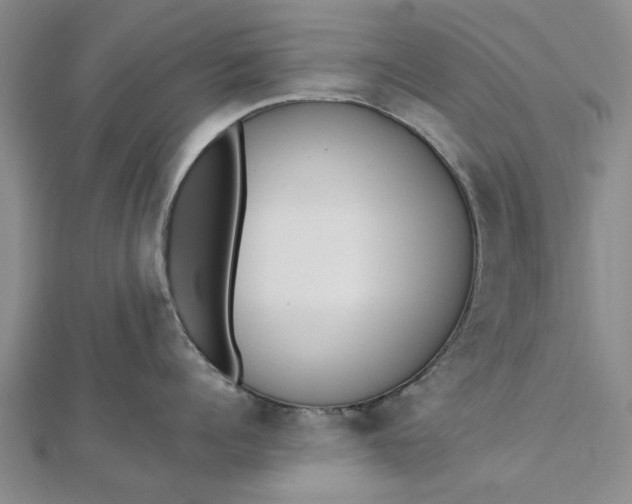 X0000112460960200908311327