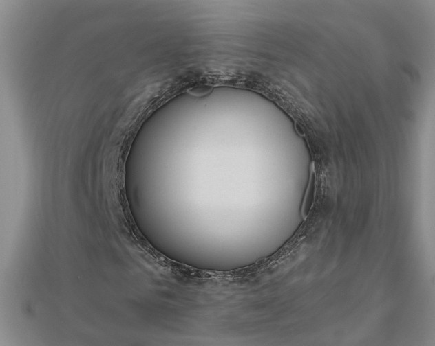 X0000112460961200908311326