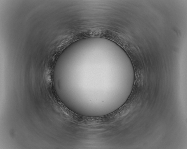 X0000112460962200908311326